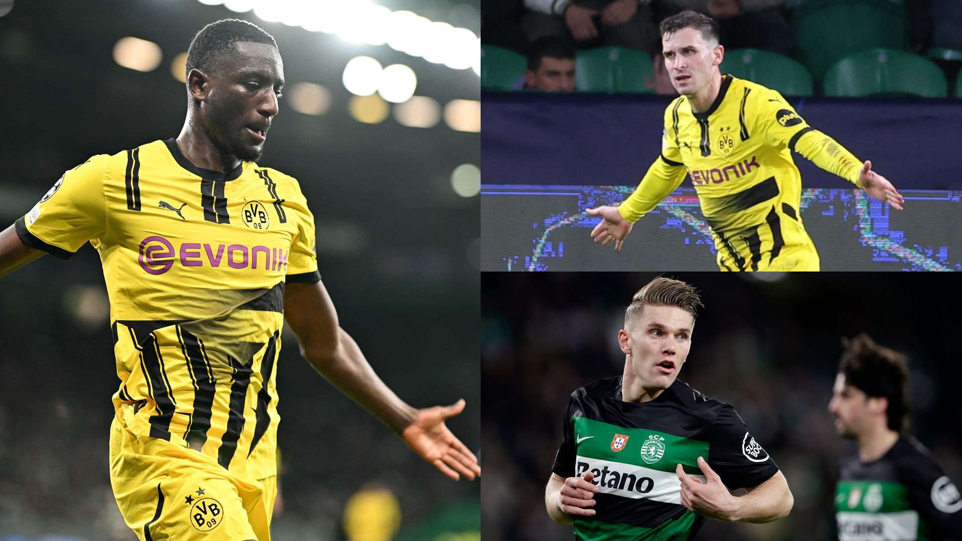 本文将从郑 本文将从郑